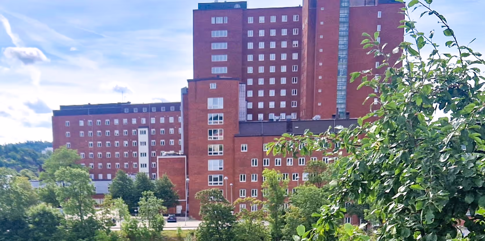 Uddevalla sjukhus | Uddevallapartiet